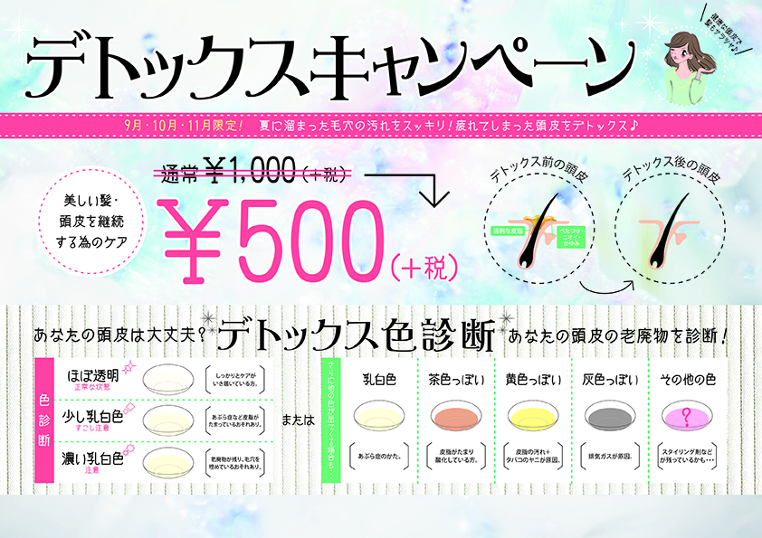 キャンペーンパウチ